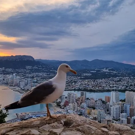 Damara Appartement *